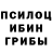 Псилоцибиновые грибы прущие грибы Maks Gaif