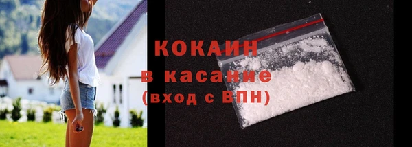 стаф Алзамай