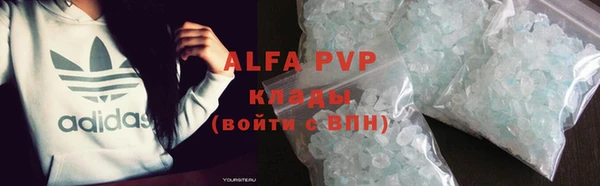 стаф Алзамай