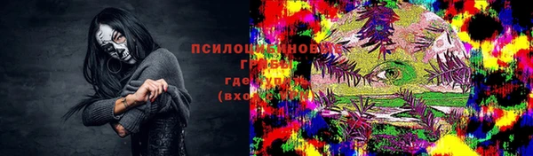 стаф Алзамай
