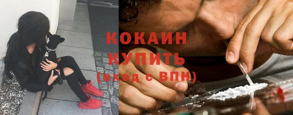 стаф Алзамай