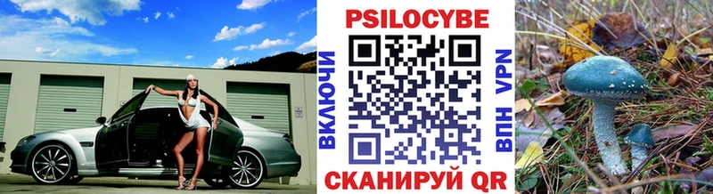 Псилоцибиновые грибы ЛСД где найти Спас-Клепики